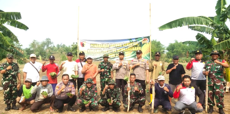 Upaya TNI dalam mewujudkan ketahanan pangan nasional dalam pendampingan penanaman jagung