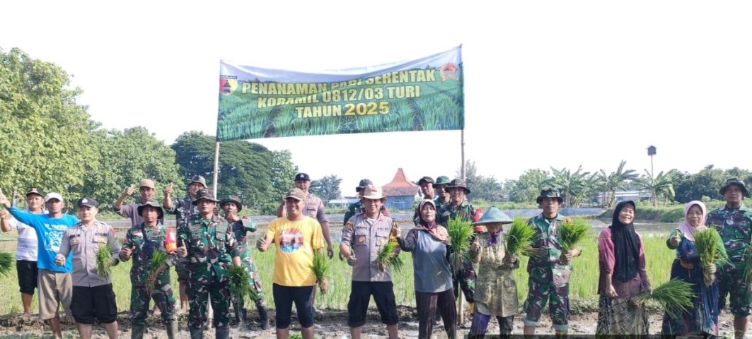 Sukseskan Program Pemerintah Dalam Bidang Ketahanan Pangan, Inilah yang dilakukan koramil Jajaran Kodim 0812/Lamongan